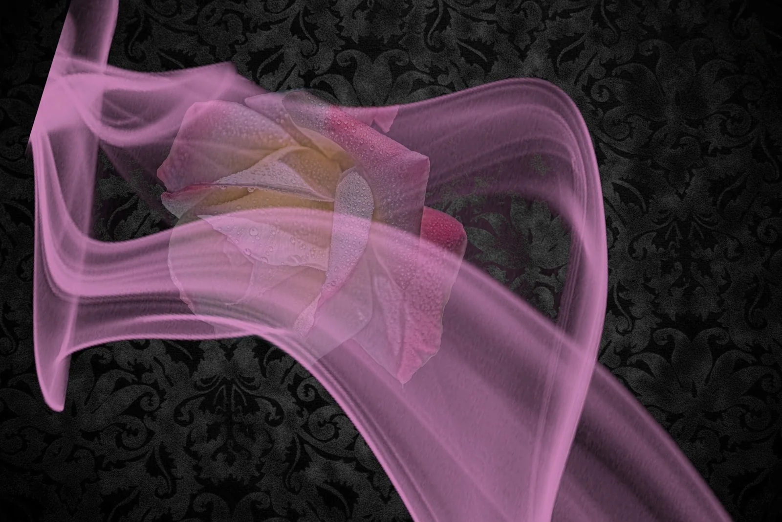 Uma rosa rodeada de fumaça rosa, representando a aura rosa